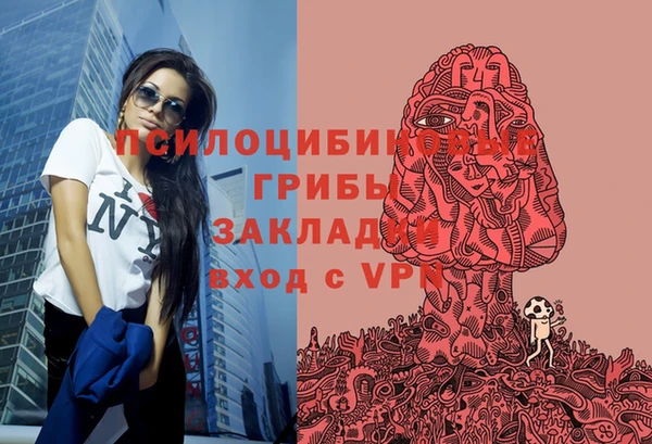 стафф Алексеевка