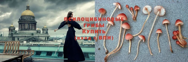 стафф Алексеевка