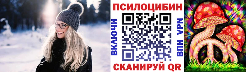 Псилоцибиновые грибы Cubensis  Чапаевск 